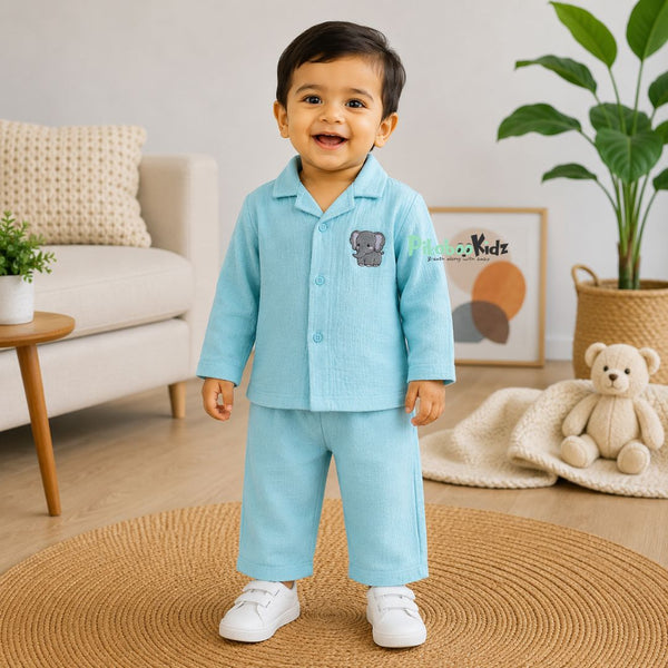 Crinkled Muslin Fullsleeve shirt and Pants - Blue